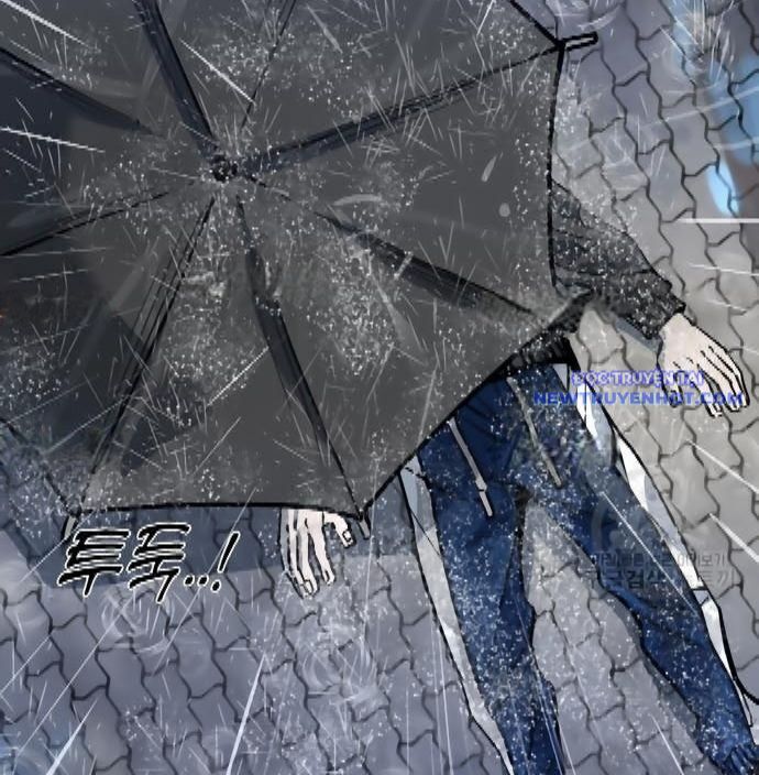 Shark – Cá Mập Chapter 299 - Trang 2