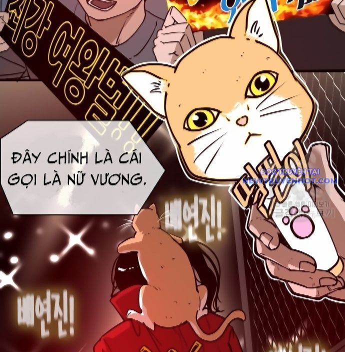 Shark – Cá Mập Chapter 301 - Trang 2