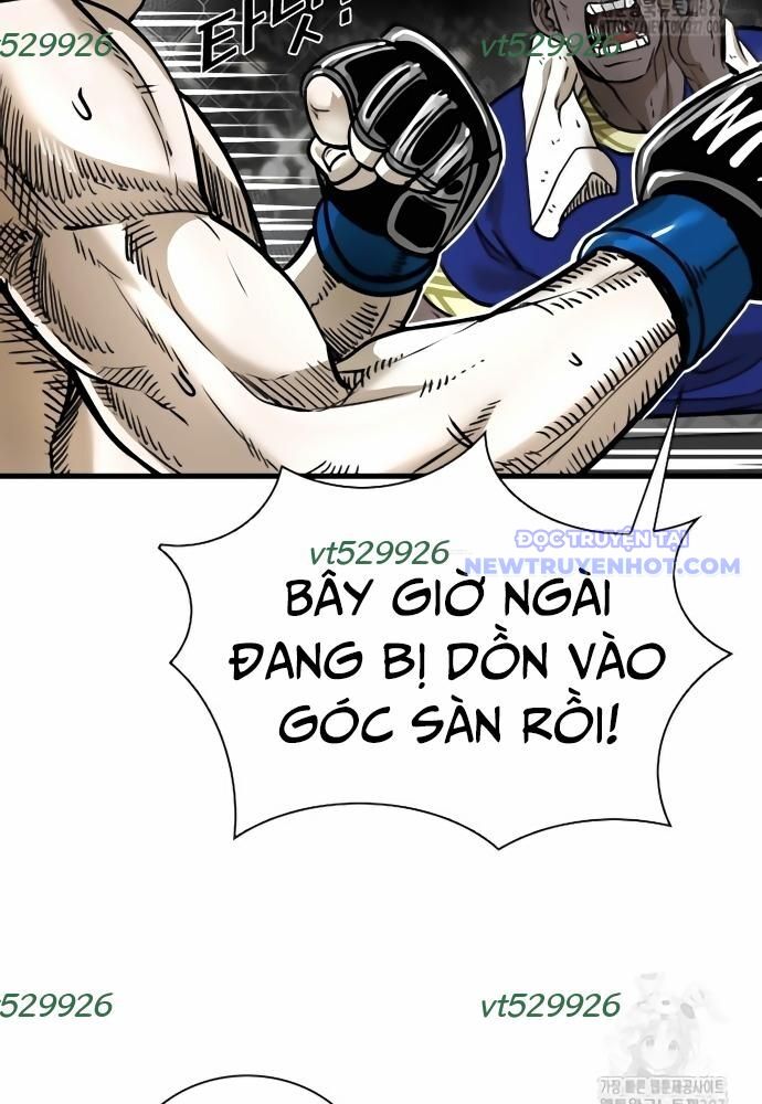 Shark – Cá Mập Chapter 311 - Trang 2