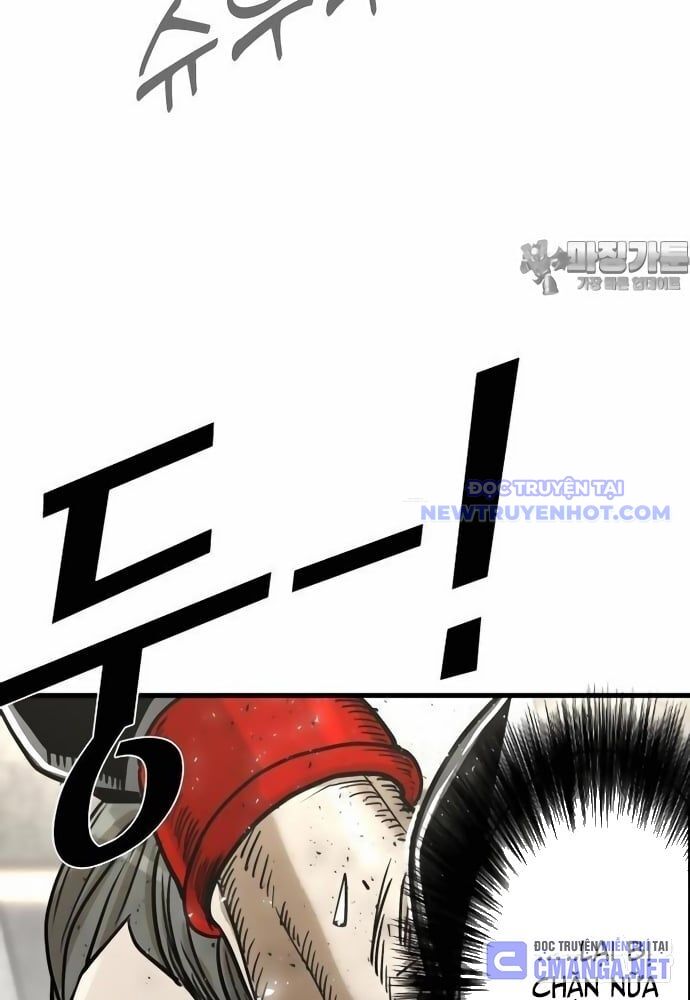 Shark – Cá Mập Chapter 318 - Trang 2