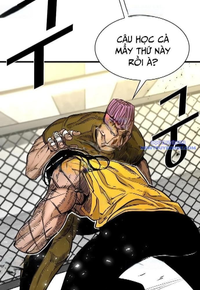 Shark – Cá Mập Chapter 323 - Trang 2