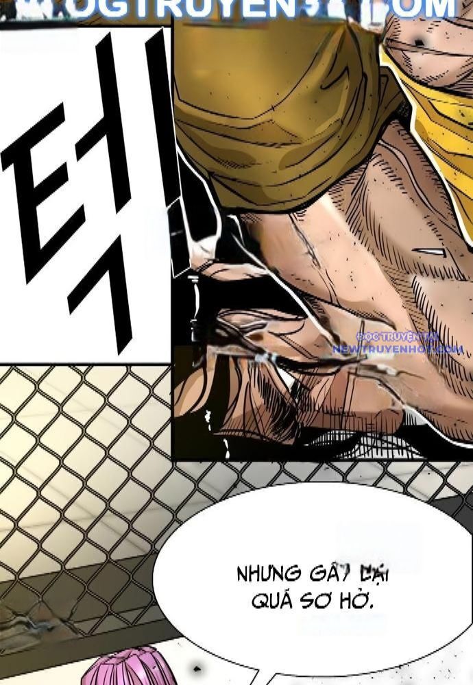 Shark – Cá Mập Chapter 323 - Trang 2