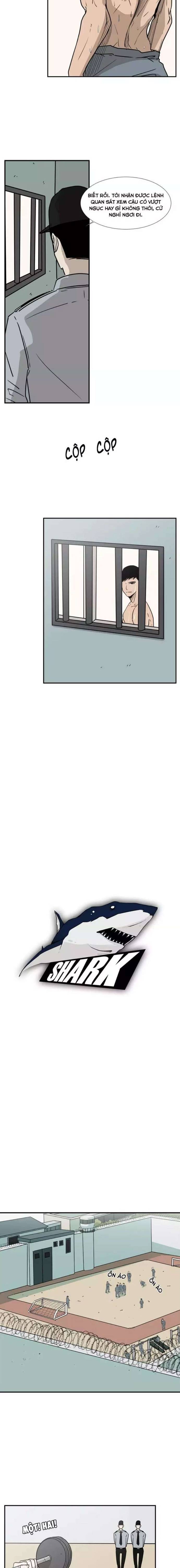 Shark – Cá Mập Chapter 6 - Trang 2