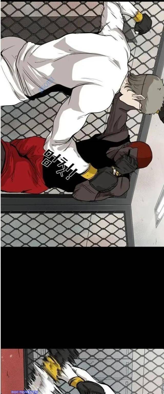 Shark – Cá Mập Chapter 94 - Trang 2