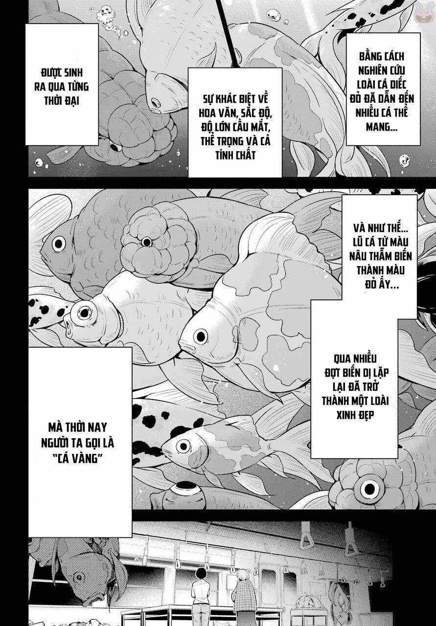 Shibuya Kingyo Chapter 15.1 - Trang 2