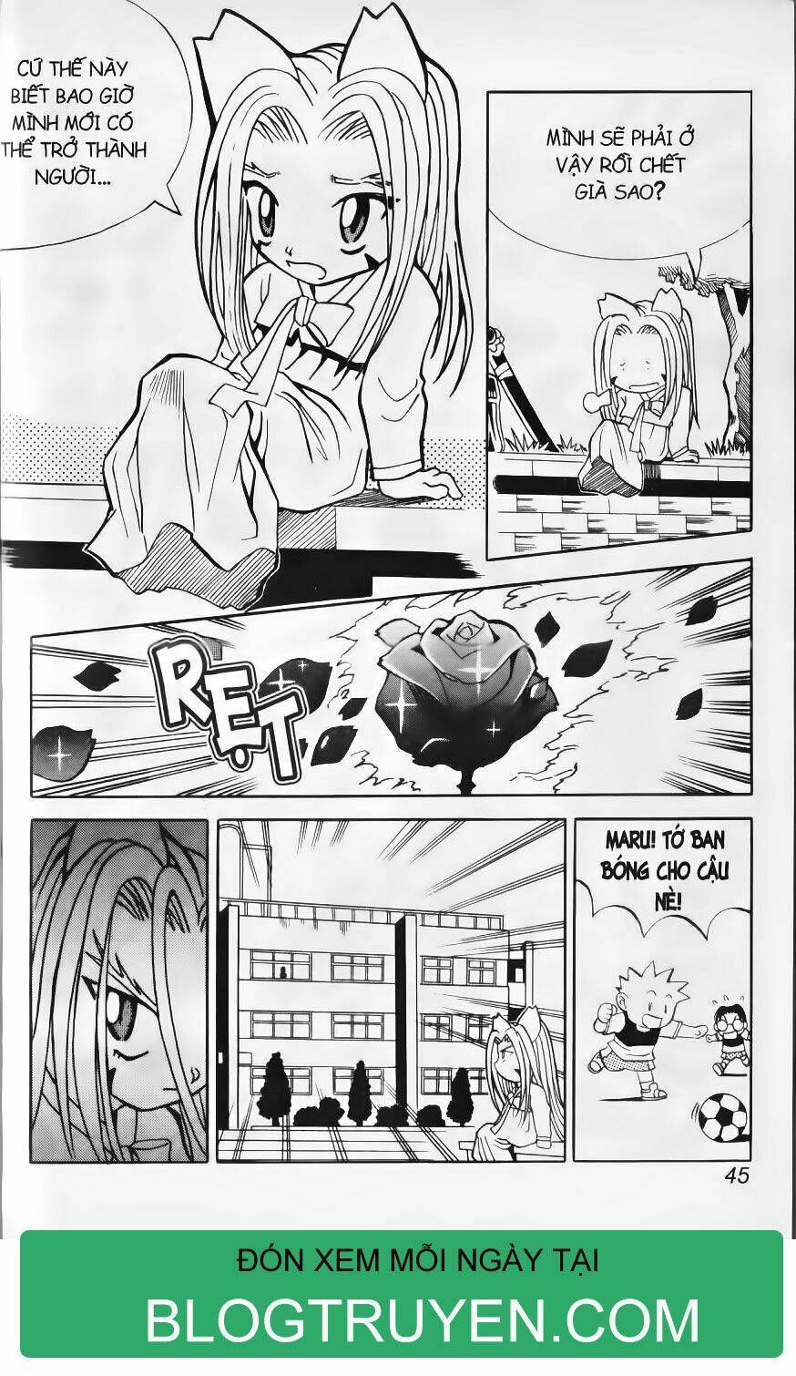 Shin Gumiho – Hội Pháp Sư Chapter 2.1 - Trang 2