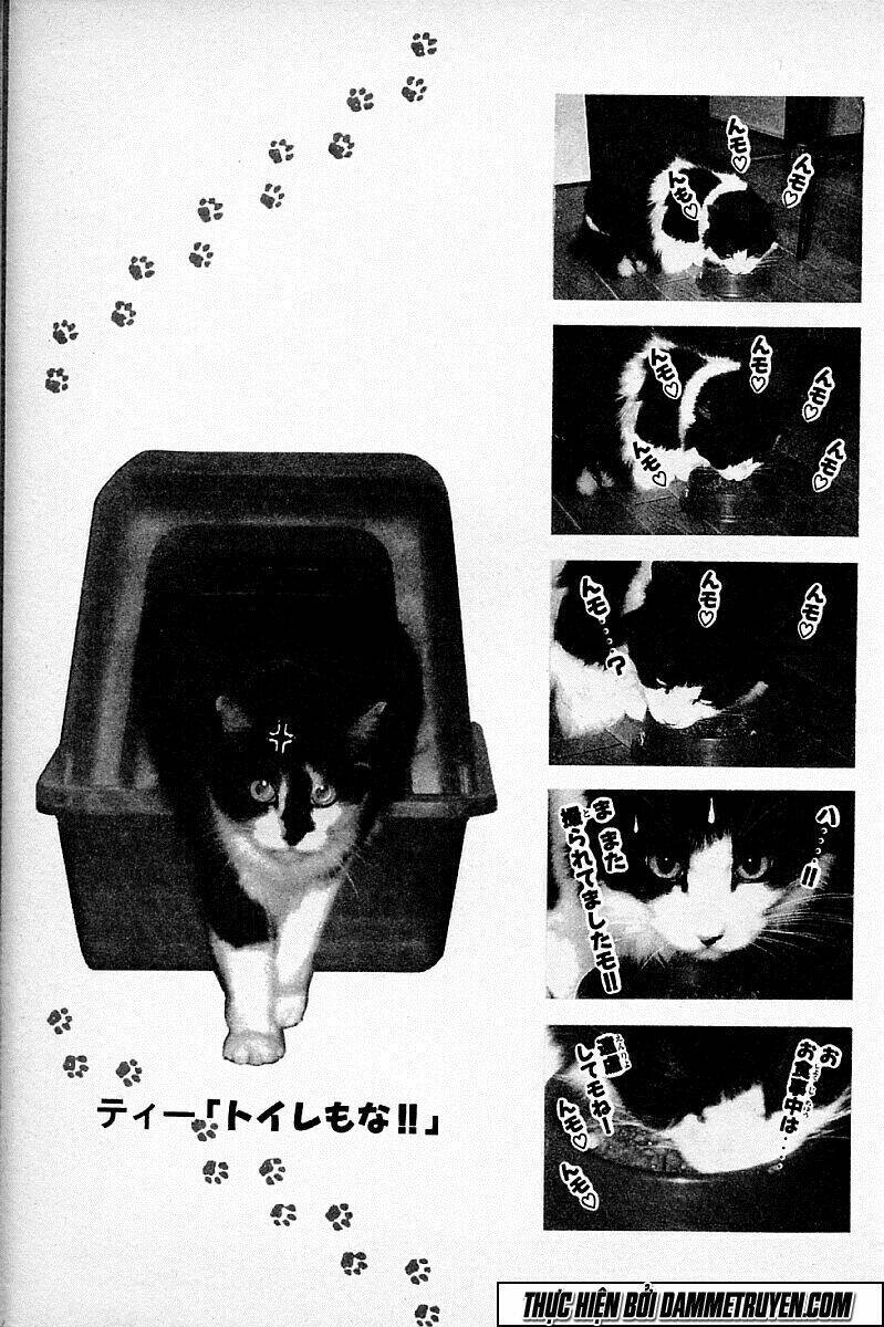 Kotaro Nhu Đạo Chapter 110 - Trang 2