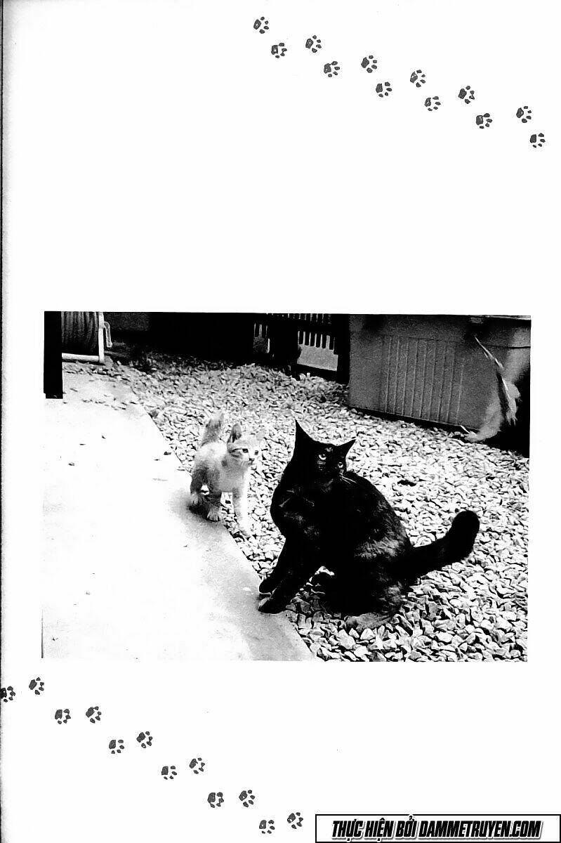 Kotaro Nhu Đạo Chapter 113 - Trang 2