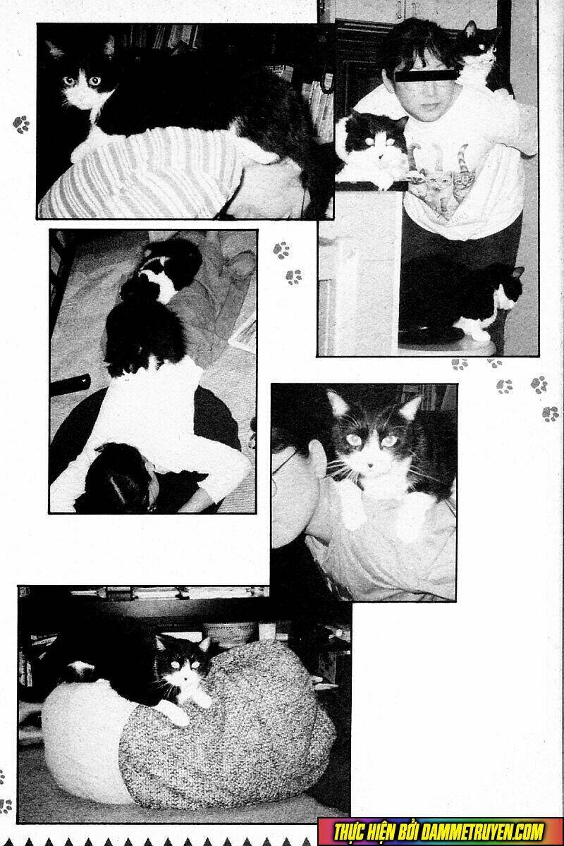 Kotaro Nhu Đạo Chapter 138 - Trang 2