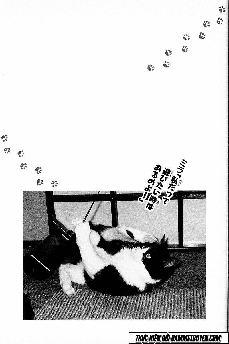 Kotaro Nhu Đạo Chapter 156 - Trang 2