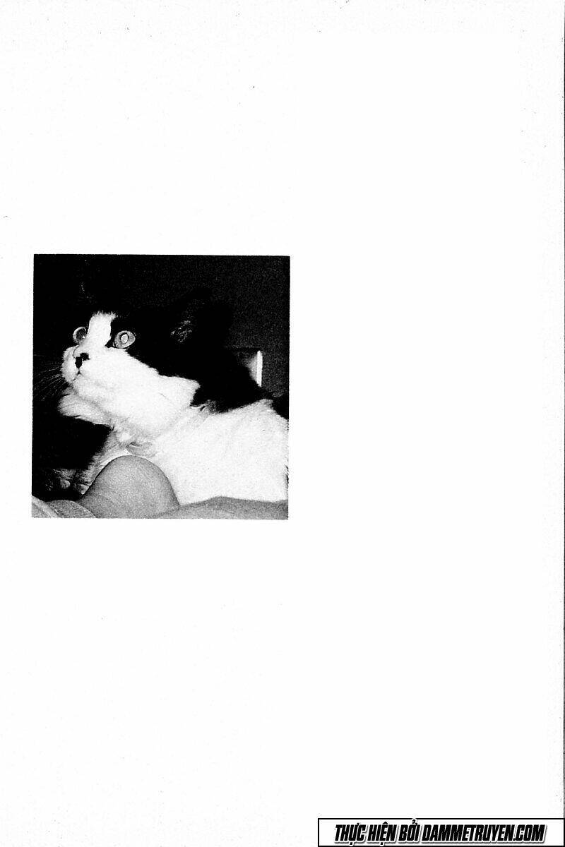 Kotaro Nhu Đạo Chapter 174 - Trang 2