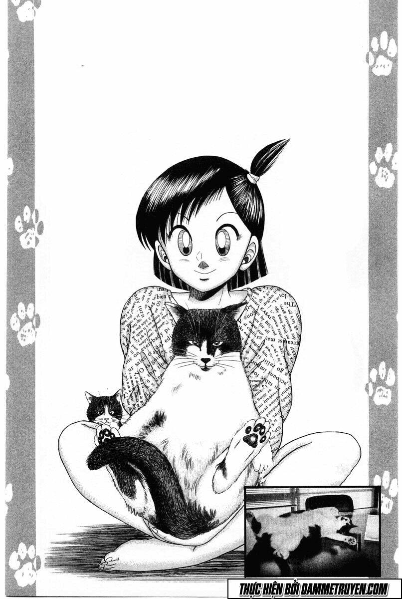 Kotaro Nhu Đạo Chapter 31 - Trang 2