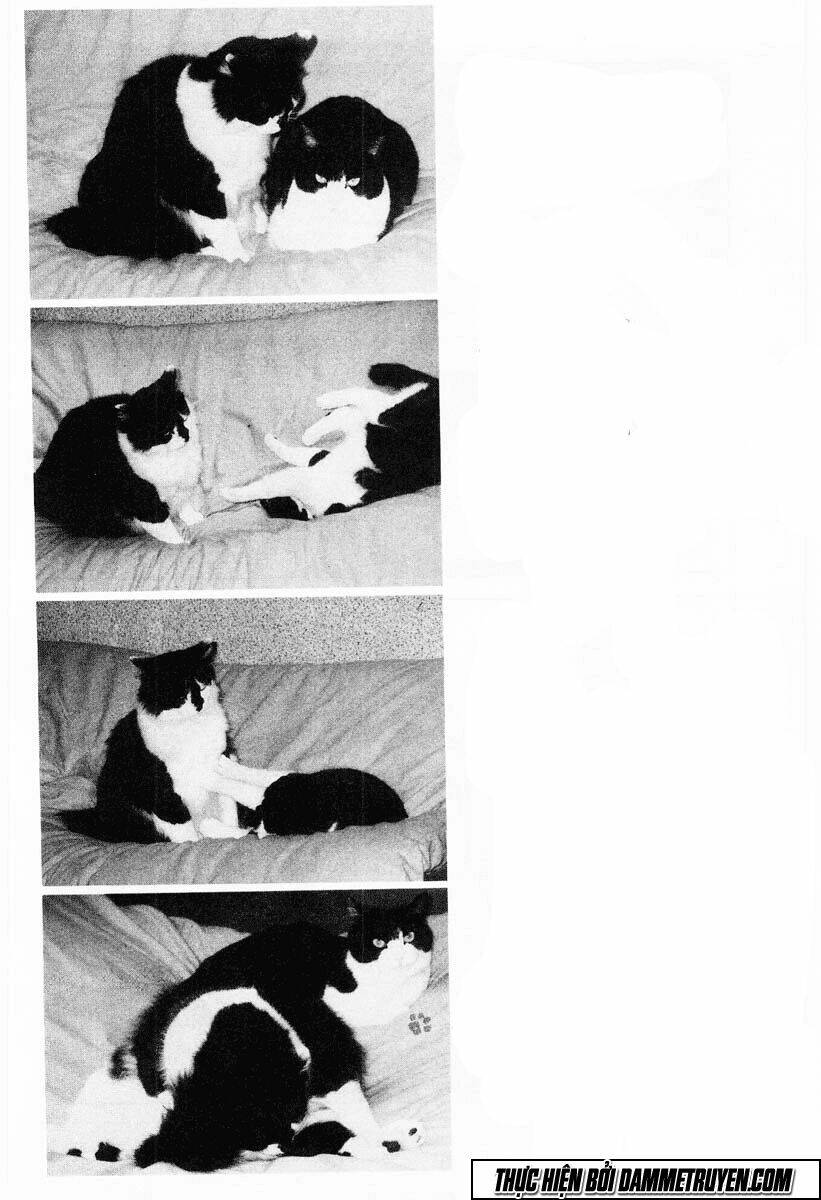 Kotaro Nhu Đạo Chapter 41 - Trang 2