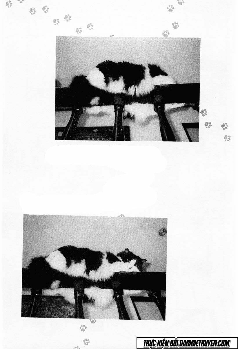 Kotaro Nhu Đạo Chapter 42 - Trang 2