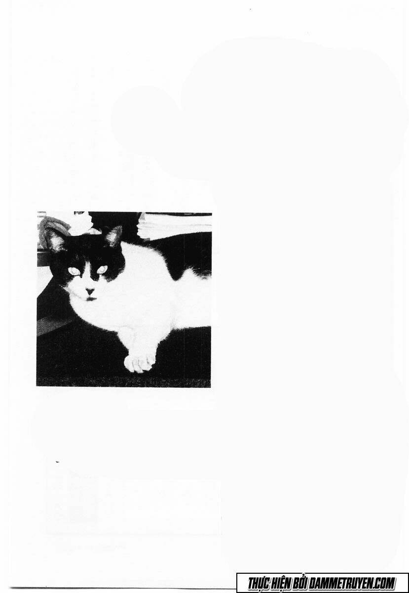 Kotaro Nhu Đạo Chapter 52 - Trang 2