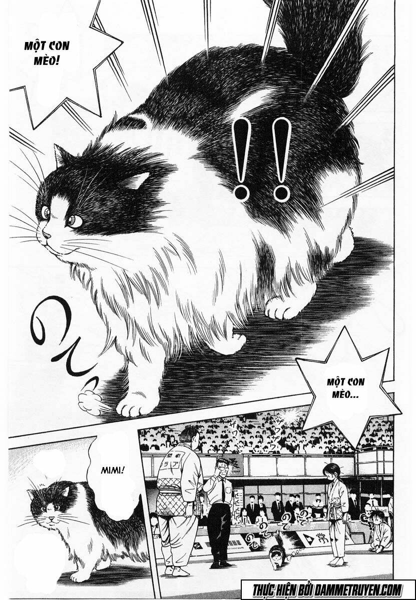 Kotaro Nhu Đạo Chapter 61 - Trang 2