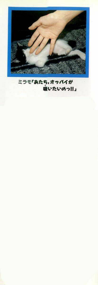 Kotaro Nhu Đạo Chapter 62 - Trang 2