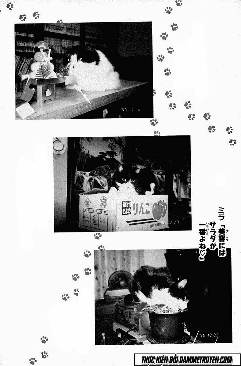 Kotaro Nhu Đạo Chapter 77 - Trang 2