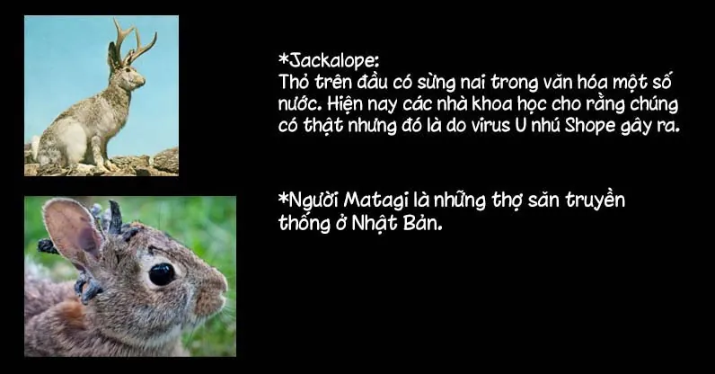 Shirokuma Tensei Chapter 15 - Trang 2