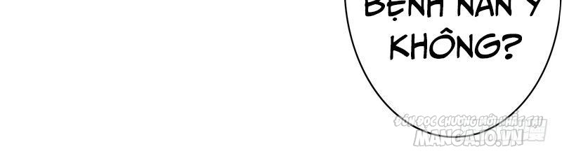 Siêu Cấp Thần Y Tại Đô Thị Chapter 0 - Trang 2