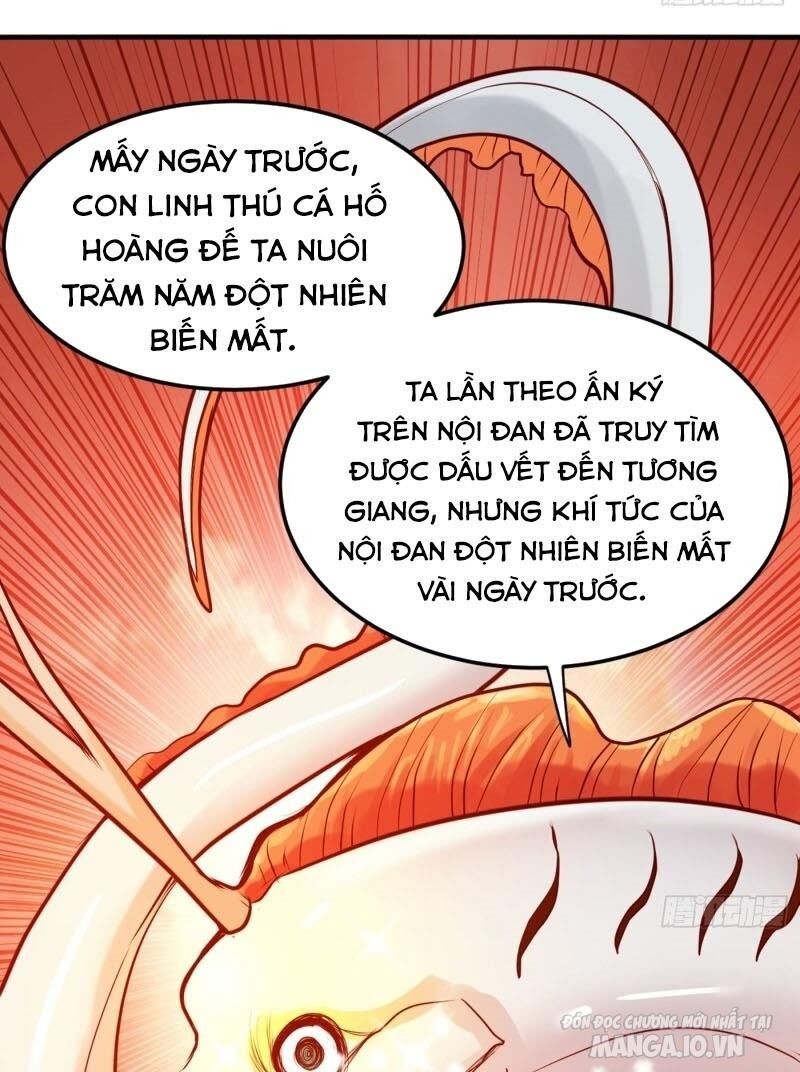 Siêu Cấp Thần Y Tại Đô Thị Chapter 101 - Trang 2