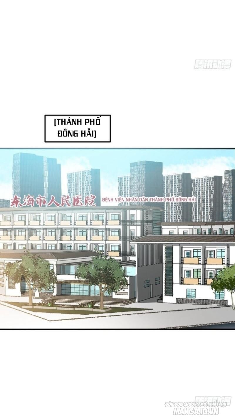Siêu Cấp Thần Y Tại Đô Thị Chapter 104 - Trang 2