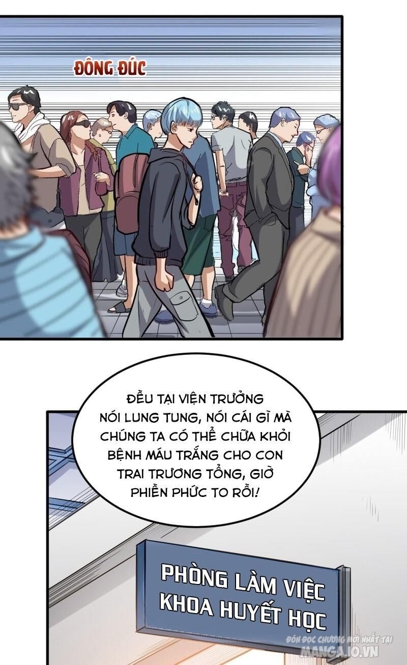 Siêu Cấp Thần Y Tại Đô Thị Chapter 104 - Trang 2
