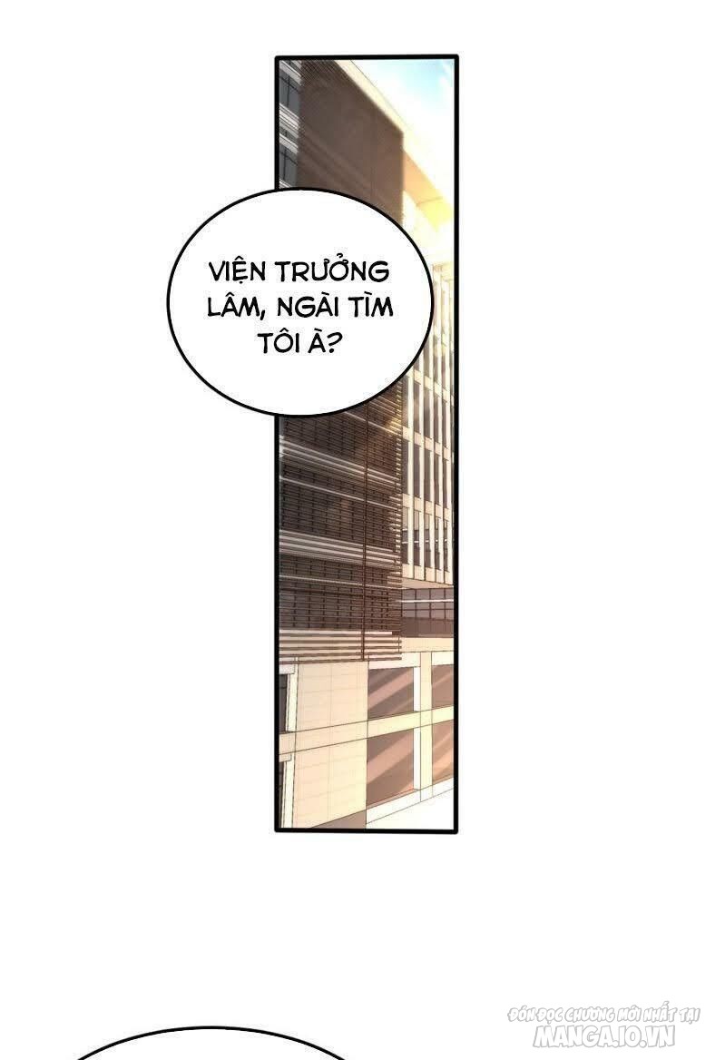 Siêu Cấp Thần Y Tại Đô Thị Chapter 124 - Trang 2