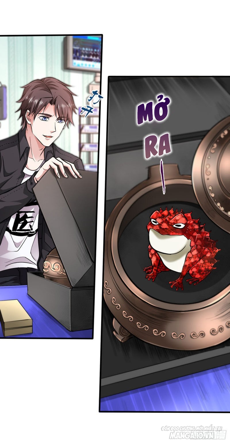 Siêu Cấp Thần Y Tại Đô Thị Chapter 127 - Trang 2