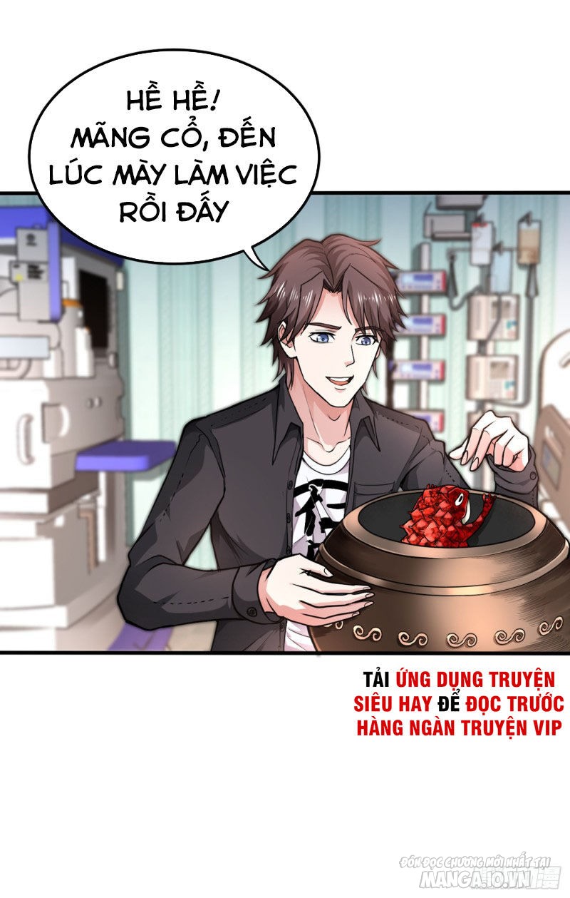 Siêu Cấp Thần Y Tại Đô Thị Chapter 127 - Trang 2