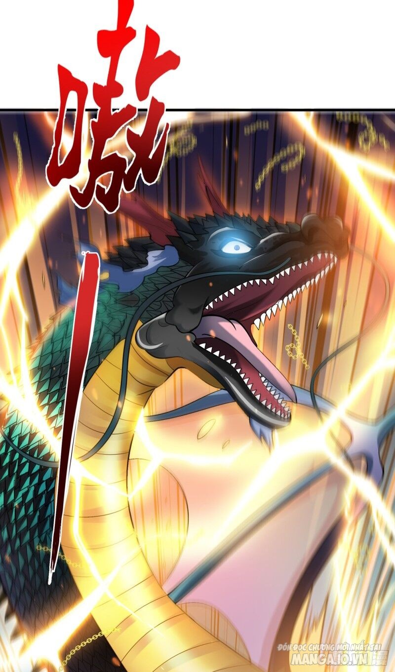 Siêu Cấp Thần Y Tại Đô Thị Chapter 143 - Trang 2