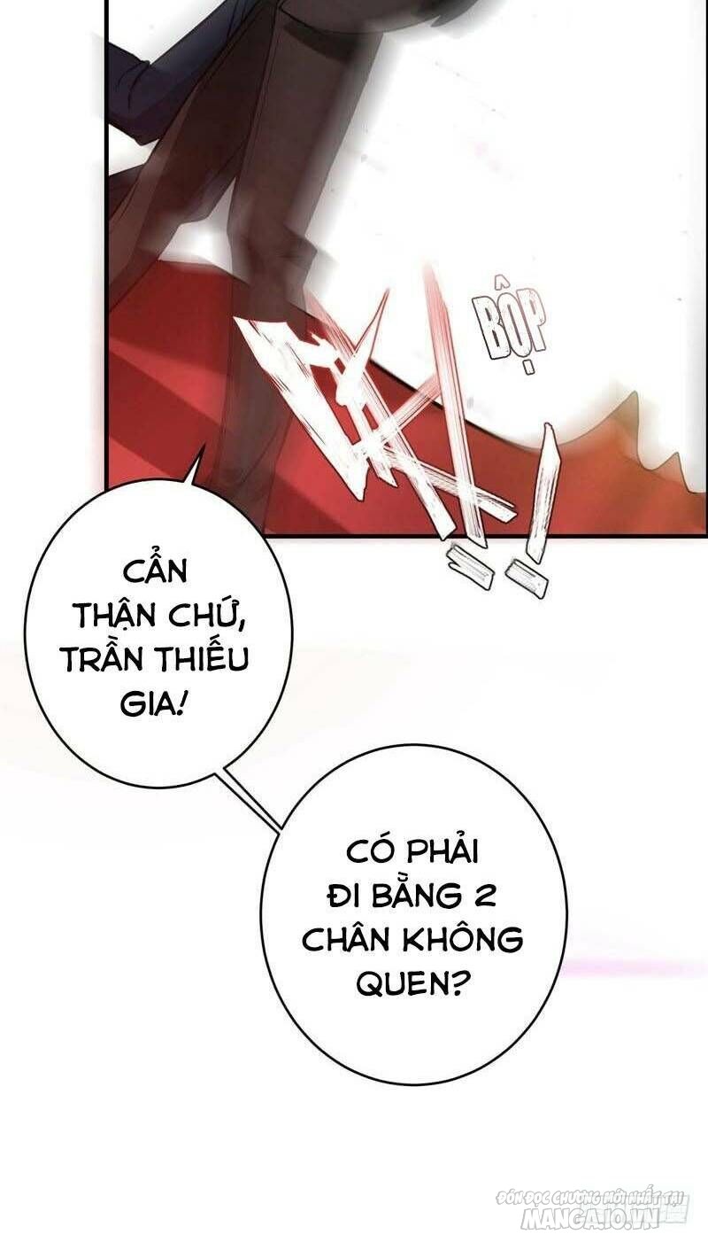 Siêu Cấp Thần Y Tại Đô Thị Chapter 15 - Trang 2