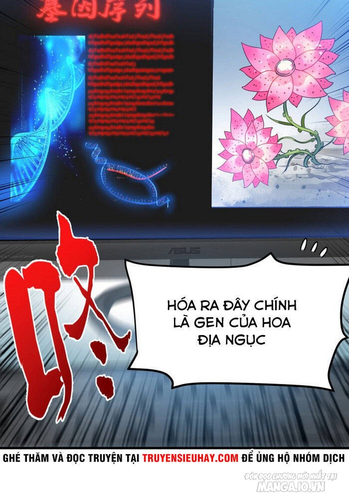 Siêu Cấp Thần Y Tại Đô Thị Chapter 160 - Trang 2