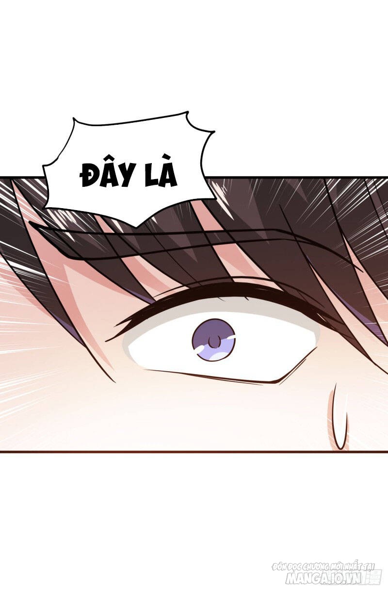 Siêu Cấp Thần Y Tại Đô Thị Chapter 167 - Trang 2