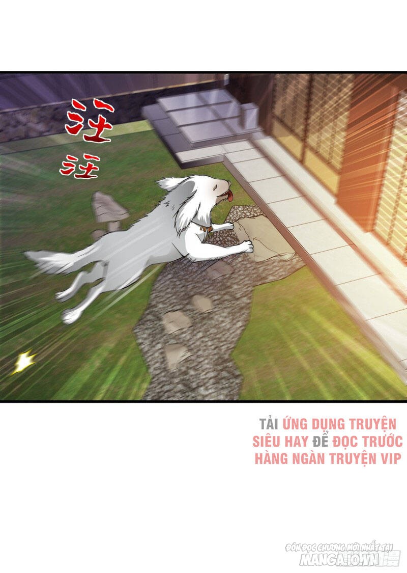 Siêu Cấp Thần Y Tại Đô Thị Chapter 171 - Trang 2