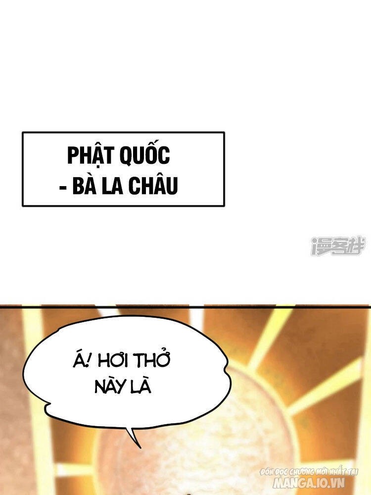 Siêu Cấp Thần Y Tại Đô Thị Chapter 183 - Trang 2