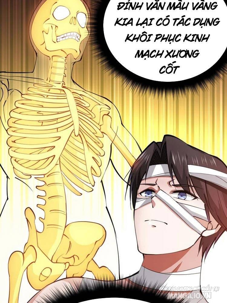 Siêu Cấp Thần Y Tại Đô Thị Chapter 187 - Trang 2