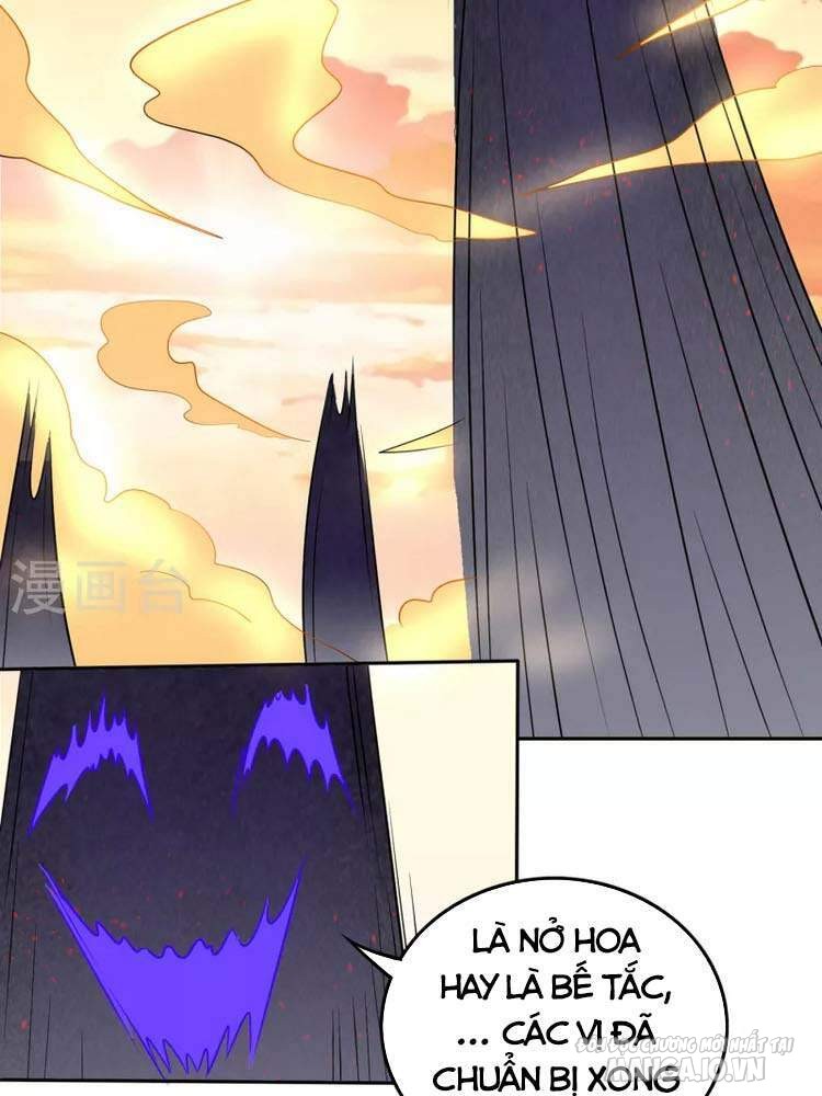 Siêu Cấp Thần Y Tại Đô Thị Chapter 203 - Trang 2