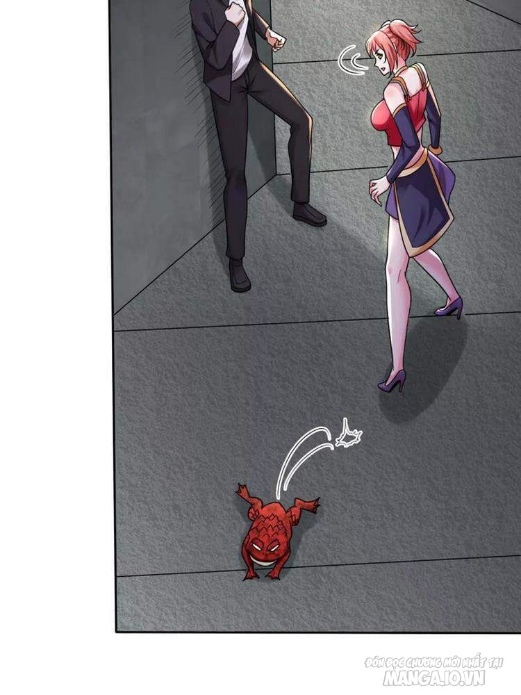 Siêu Cấp Thần Y Tại Đô Thị Chapter 207 - Trang 2