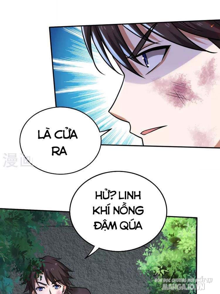 Siêu Cấp Thần Y Tại Đô Thị Chapter 207 - Trang 2