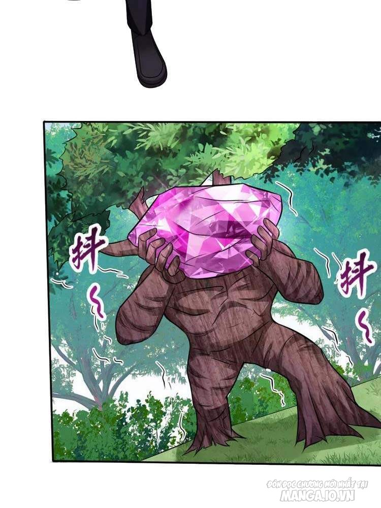 Siêu Cấp Thần Y Tại Đô Thị Chapter 208 - Trang 2