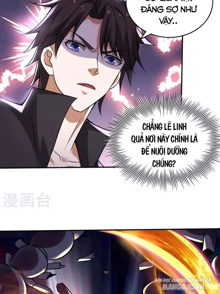 Siêu Cấp Thần Y Tại Đô Thị Chapter 208 - Trang 2