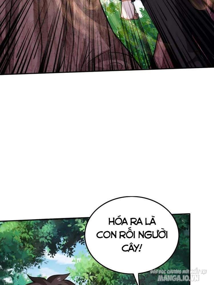 Siêu Cấp Thần Y Tại Đô Thị Chapter 208 - Trang 2