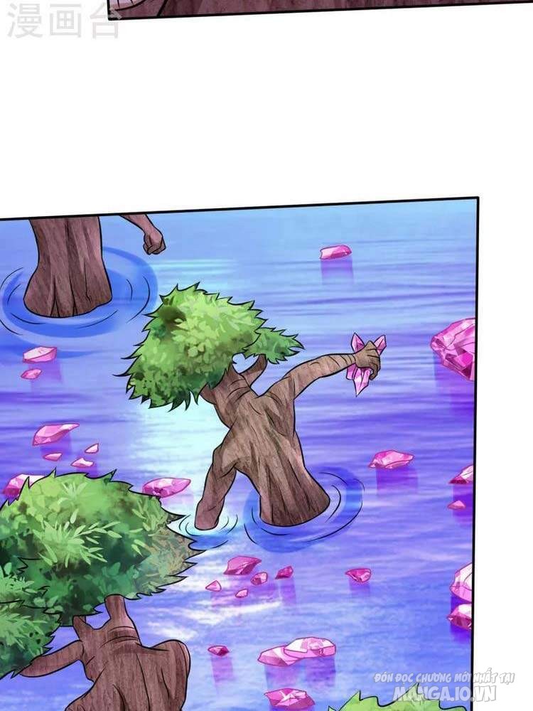 Siêu Cấp Thần Y Tại Đô Thị Chapter 208 - Trang 2