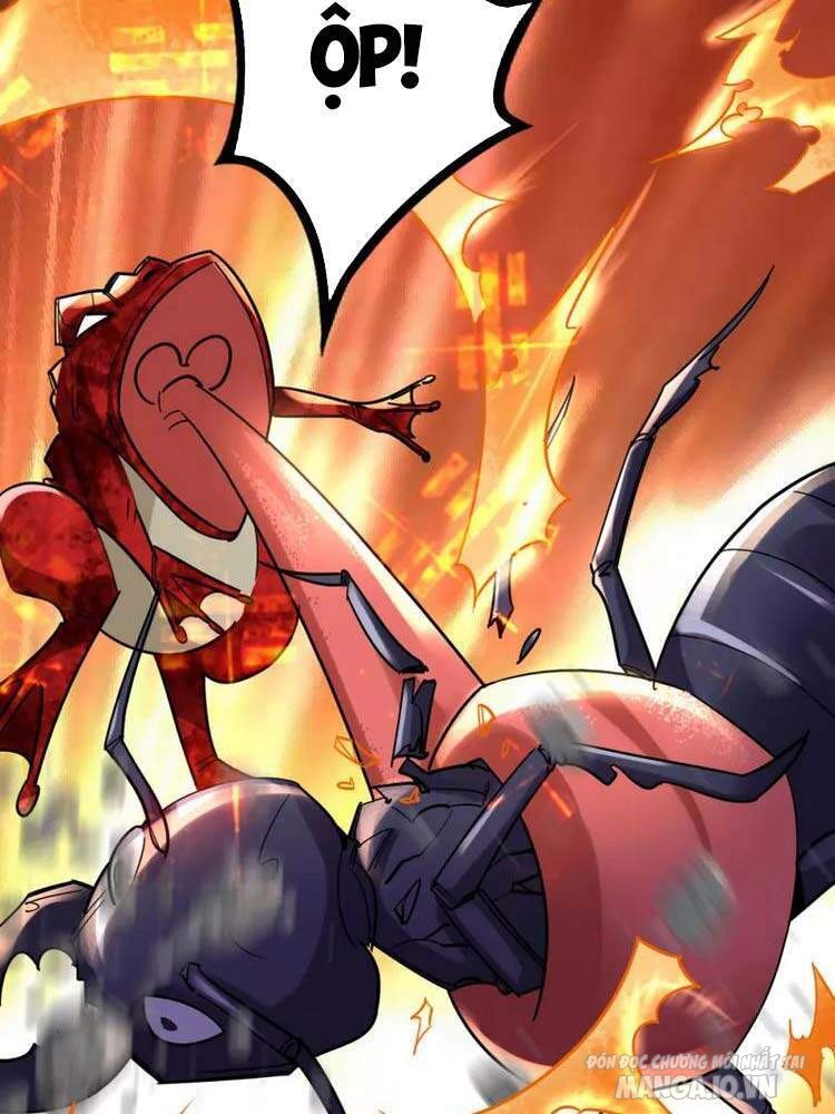 Siêu Cấp Thần Y Tại Đô Thị Chapter 209 - Trang 2