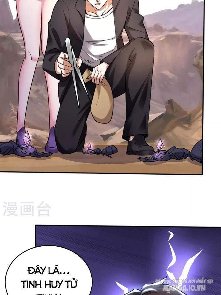 Siêu Cấp Thần Y Tại Đô Thị Chapter 209 - Trang 2