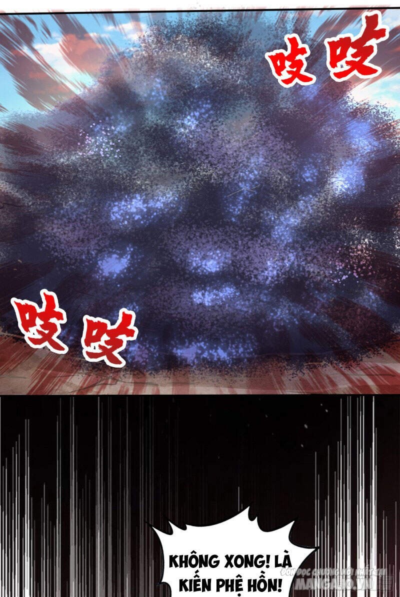 Siêu Cấp Thần Y Tại Đô Thị Chapter 210 - Trang 2