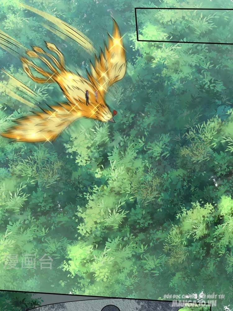 Siêu Cấp Thần Y Tại Đô Thị Chapter 212 - Trang 2