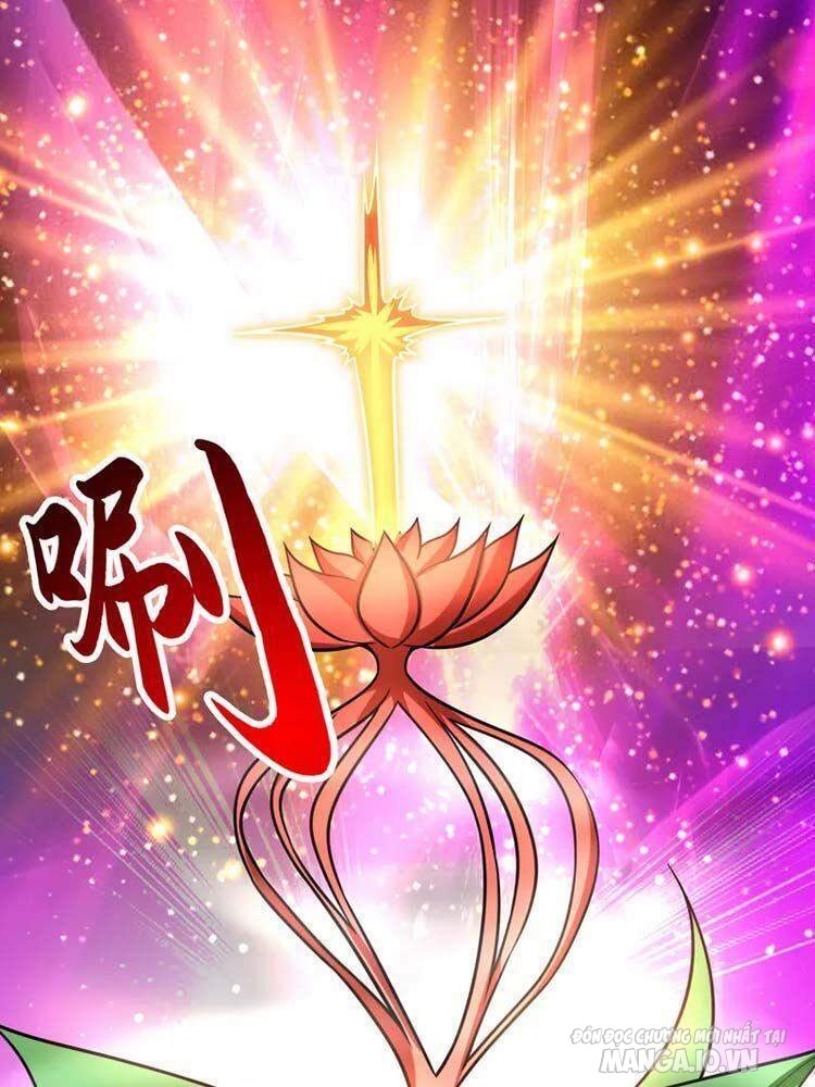 Siêu Cấp Thần Y Tại Đô Thị Chapter 216 - Trang 2