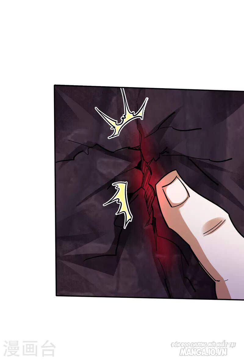 Siêu Cấp Thần Y Tại Đô Thị Chapter 226 - Trang 2